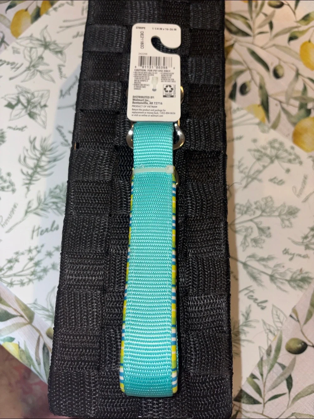 Vibrant Teal Padded Dog Collar with Bone-Shaped Buckle sz L